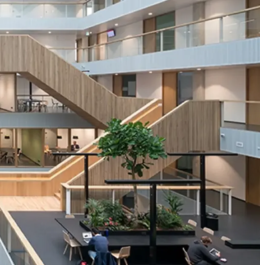 Interior view of a modern, multi-level university building atrium featuring prominent crisscrossing wooden staircases, open white balconies, and a central indoor courtyard area with a tree and student study spaces.
