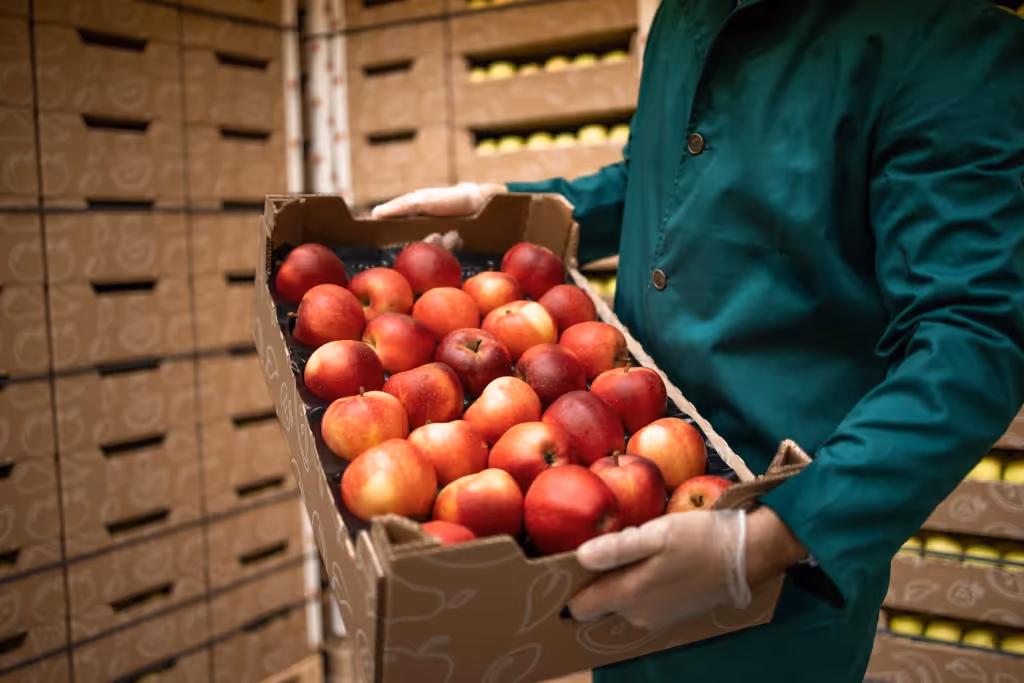 Fruits in basket food inventory stock