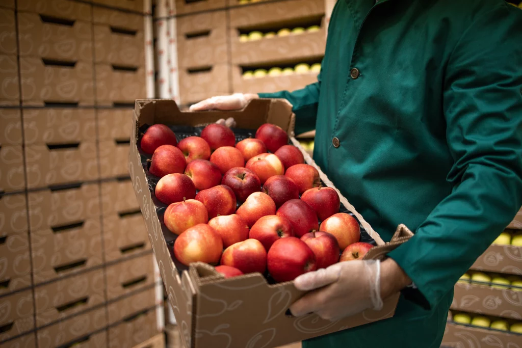 Fruits in basket food inventory stock