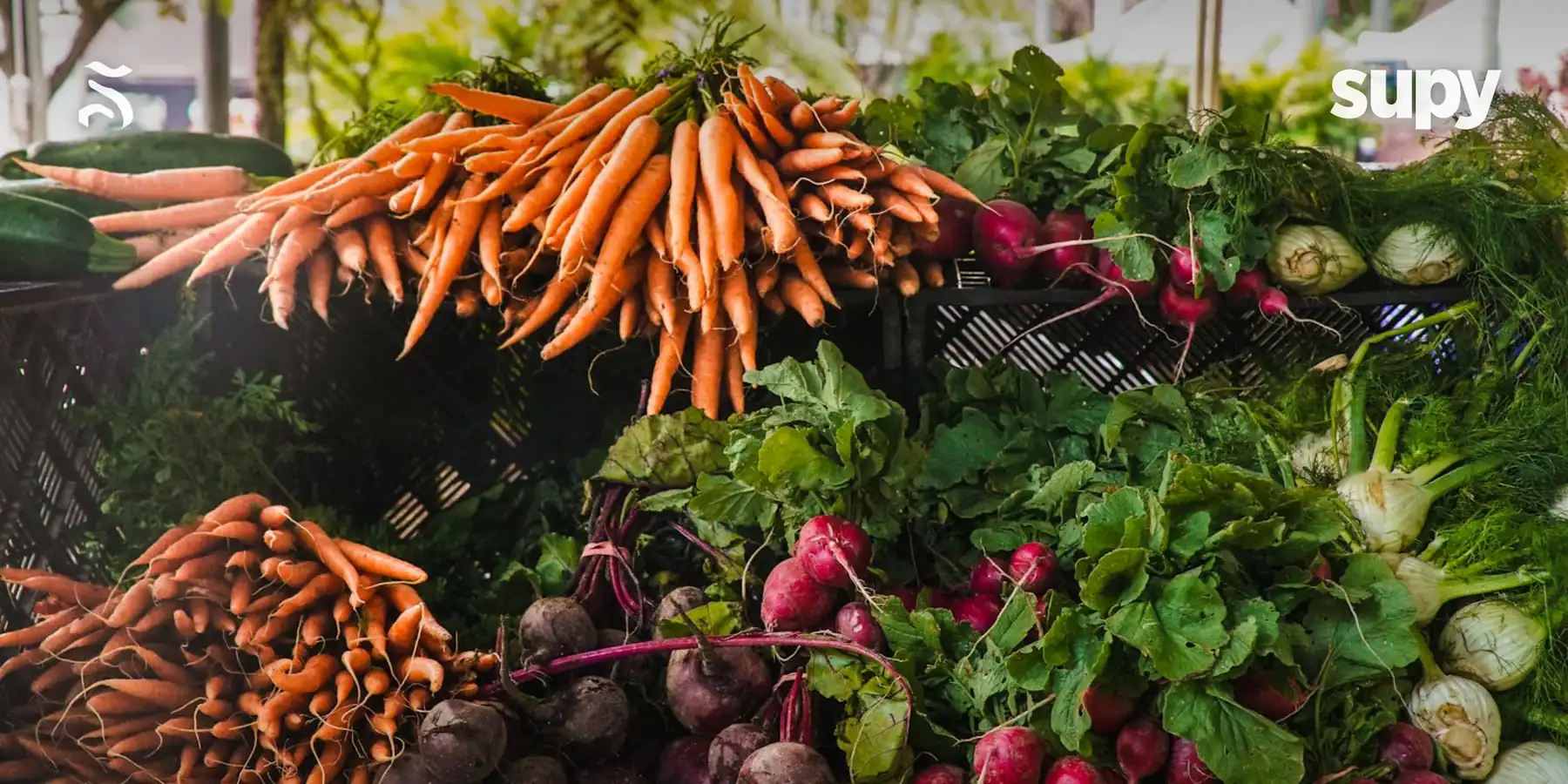 A colourful arrangement of fresh produce representing restaurant procurement and food service purchasing