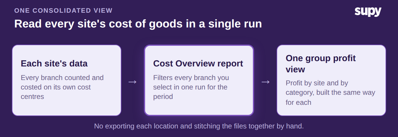 Process flow showing separate site ledgers consolidating into one Cost Overview report instead of manual file stitching