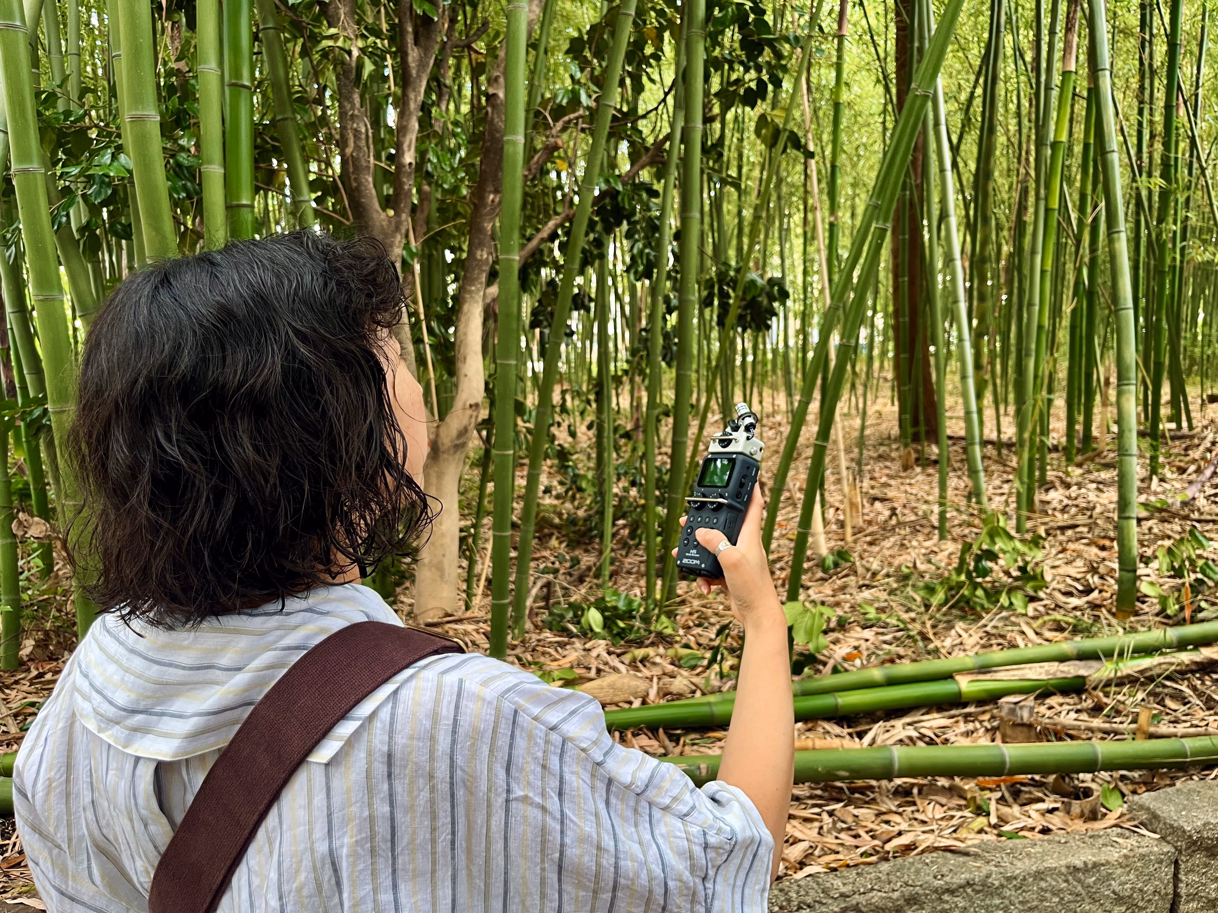 A photograph of a recent sound walk guest who joined a Kyoto, in Sound walk. The photograph features a young lady recording sound of bamboo swaying in the wind.