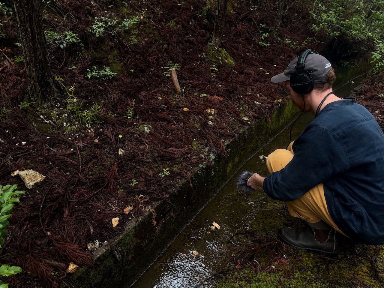 A photograph of a recent sound walk guest who joined a Kyoto, in Sound walk. This photograph features someone kneeling down to capture the sound of a gentle river in Keihoku, north Kyoto.