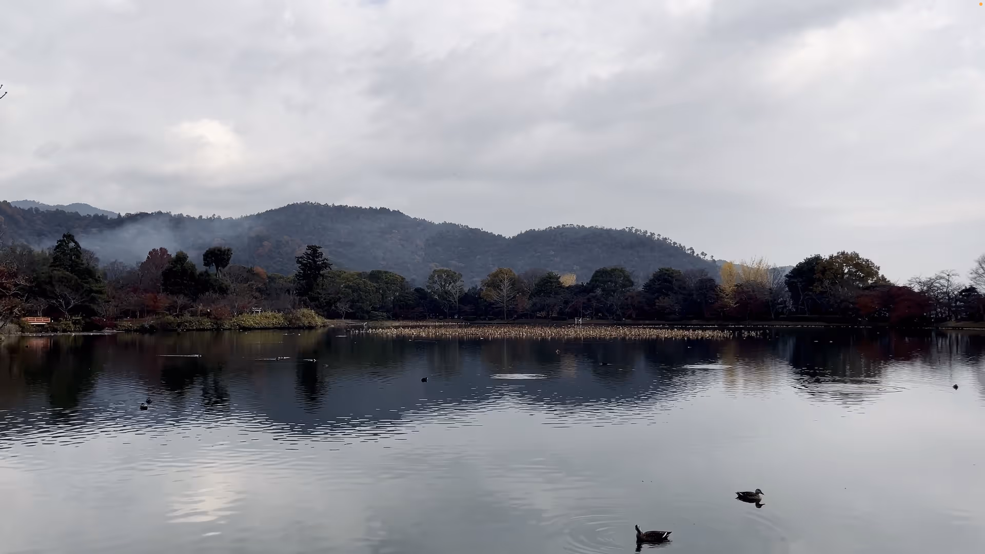 A picture of Osawa Pond in Kyoto, Japan. The trees and mountains are reflected on the surface of the water.
