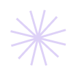 Spin Image
