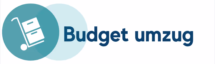 Budget Umzug