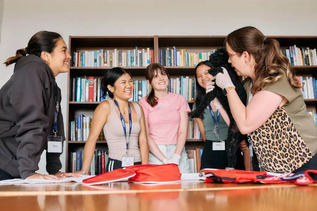 How to join the Sydney summer school