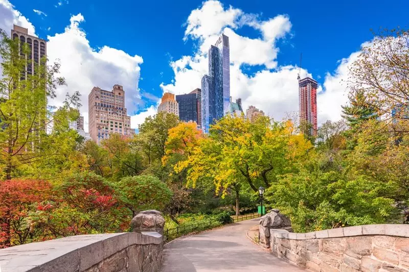 Activities in New York