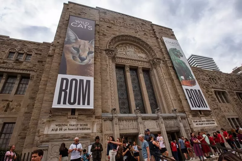 Activities in Toronto