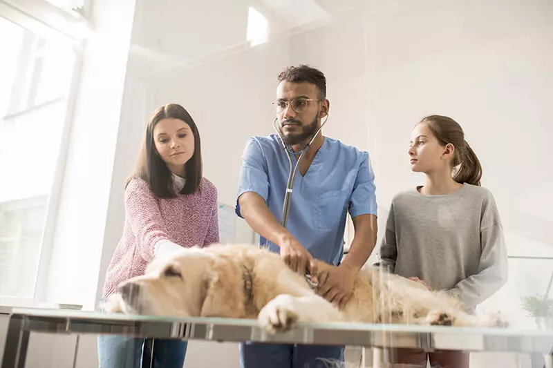 Key benefits and learning outcomes