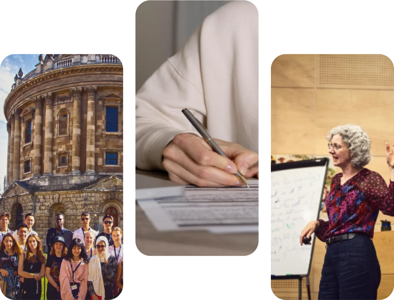 How has Immerse Education helped Elif with her University application?