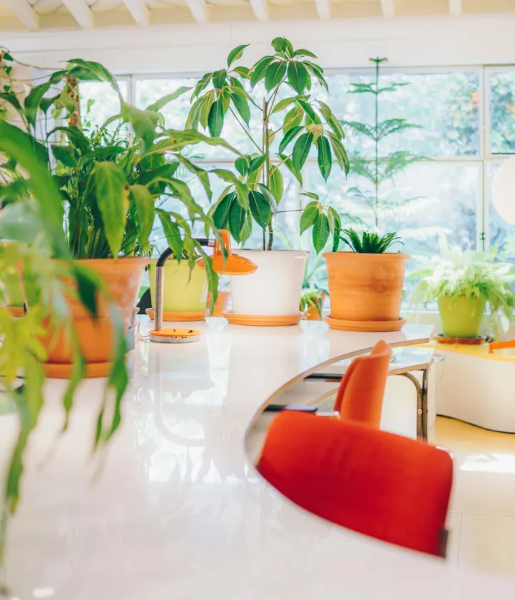 Cosy inside of our Lisbon office