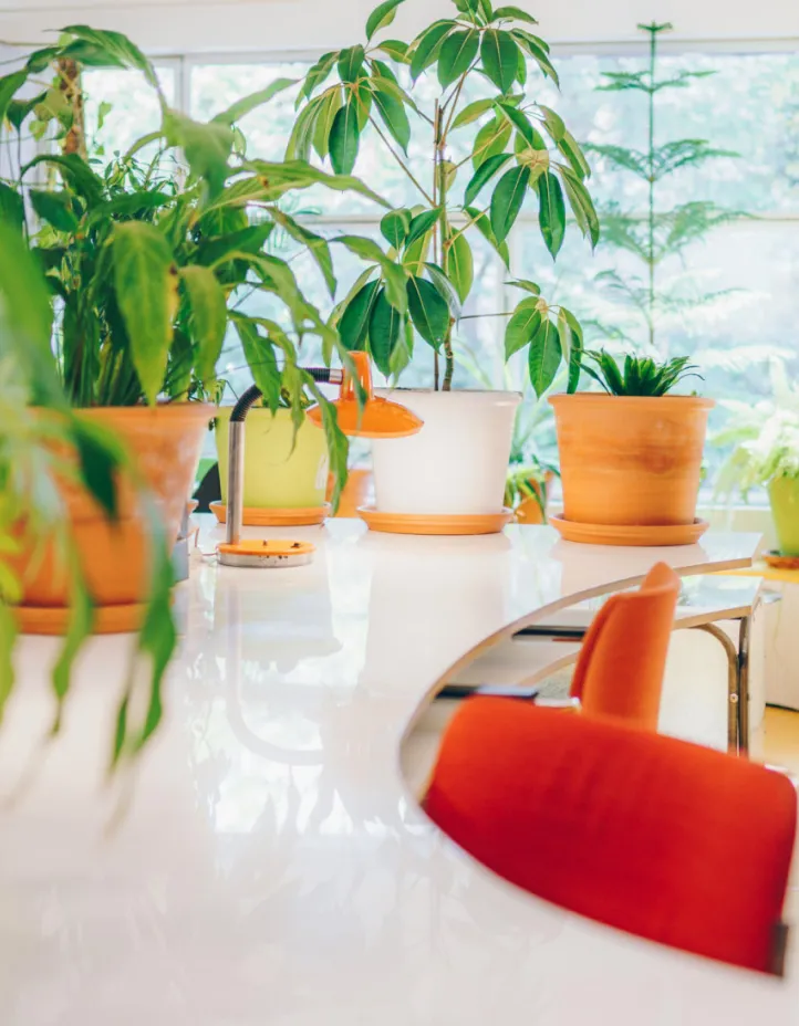 In The Pocket Office