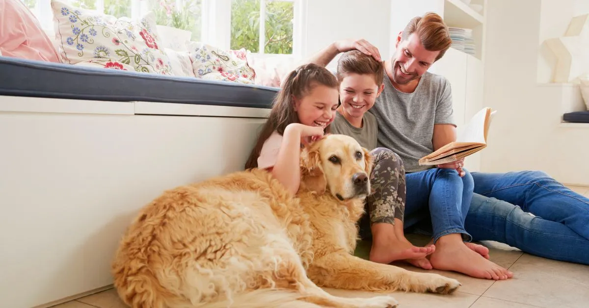 Breathe Clean, Live Healthy: Indoor Air Quality Solutions for Arizona Homes