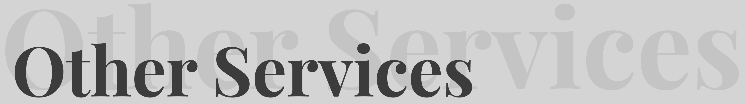 Other services heading text