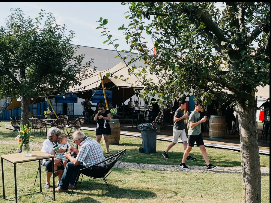 festor_portfolio_plateau