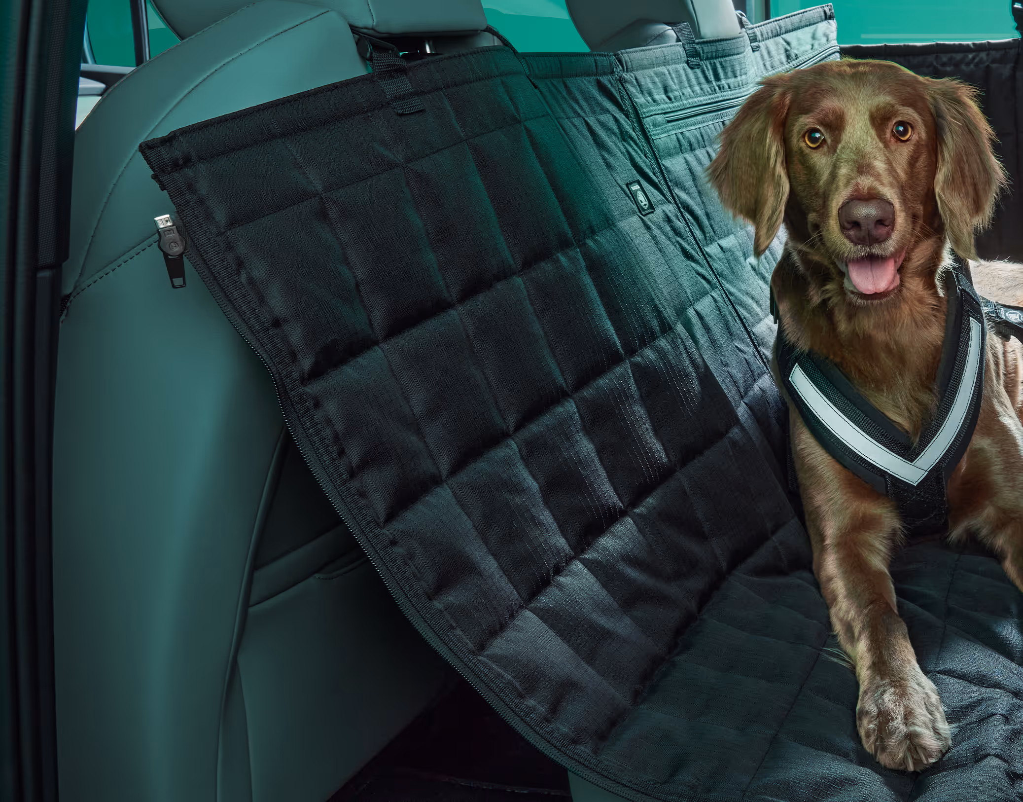 Ein Hund sitzt auf einer Schutzdecke auf der Rücksitzbank des Škoda Elroq. Die Decke schützt die Sitze vor Schmutz und Tierhaaren.
