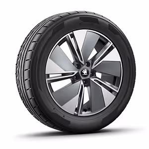 Ein freigestellter Reifen mit 19 Zoll Leichtmetallfelge “Regulus Anthrazit”.