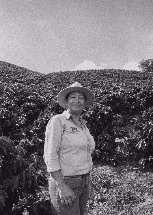 Mujer posa frente a sembradíos de café