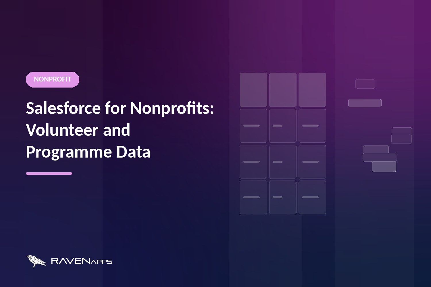 Salesforce for nonprofits, managing volunteer and programme data, by RavenApps