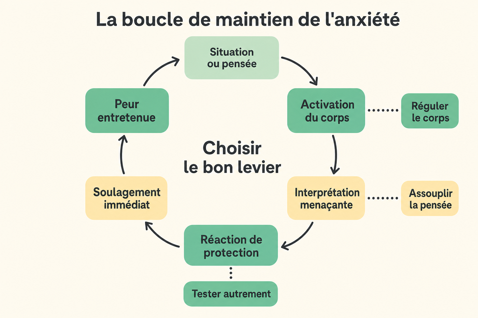 Schéma circulaire de la boucle qui entretient l'anxiété avec trois leviers d'action.