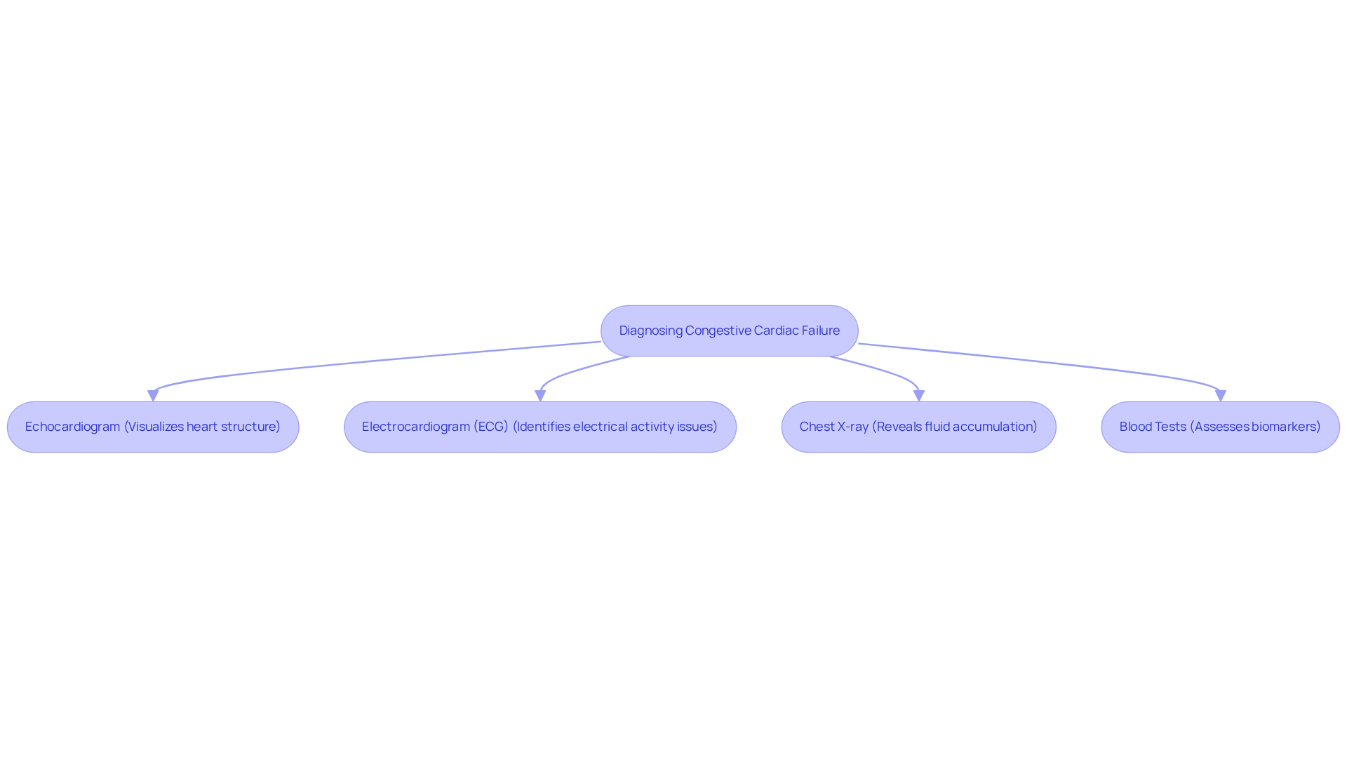 This flowchart outlines the key diagnostic tests for CHF. Each test is a step in the process, showing what each one checks and how they work together to provide a complete picture of heart health.