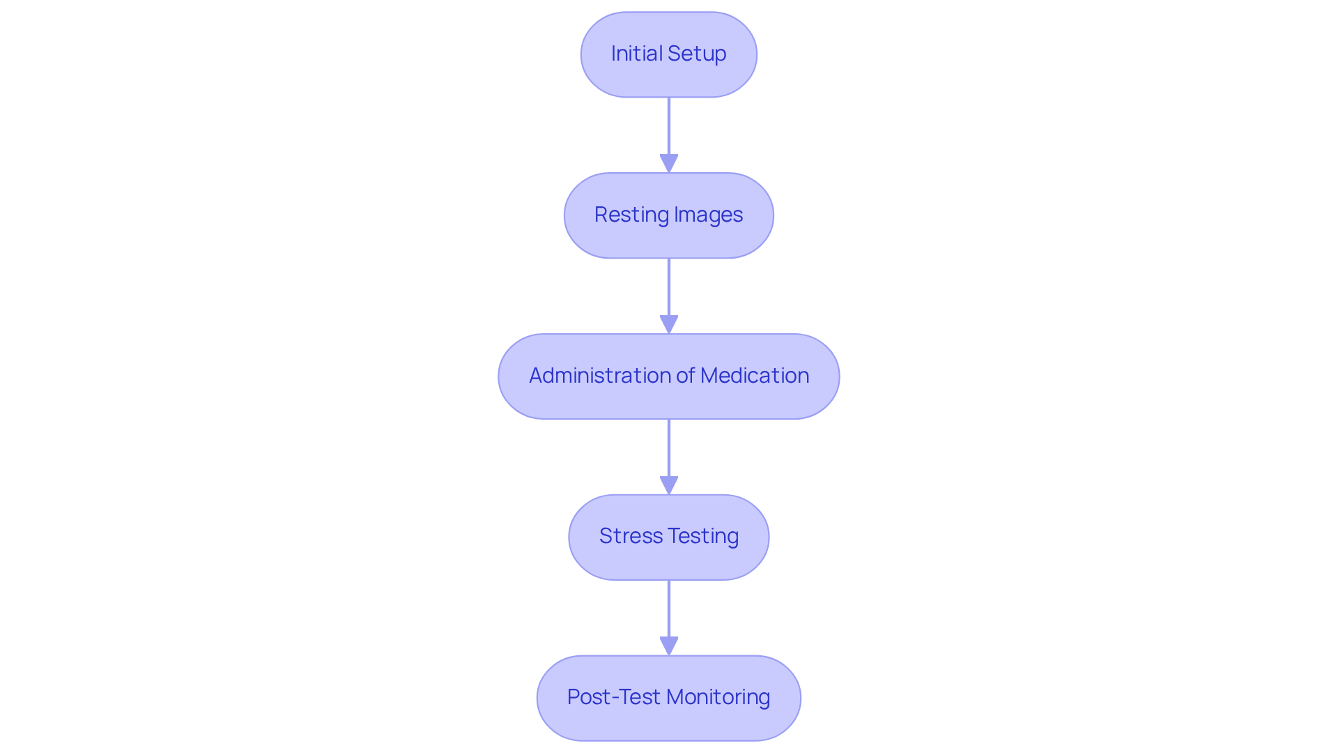 Follow the flow from top to bottom to see what happens at each stage of the test. Each box describes what to expect, making the process easier to understand. The arrows show how each part connects to the next.