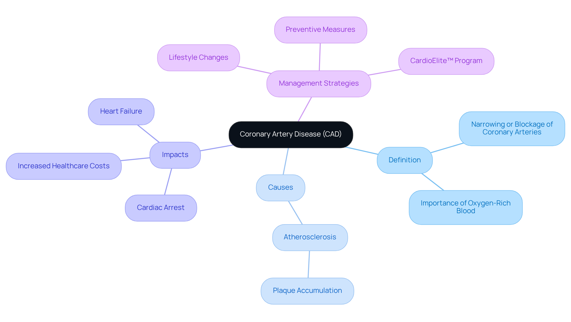 The center node represents CAD, while the branches show key aspects related to it. Each category helps you see how CAD is defined, what causes it, its effects on health, and how it can be managed.