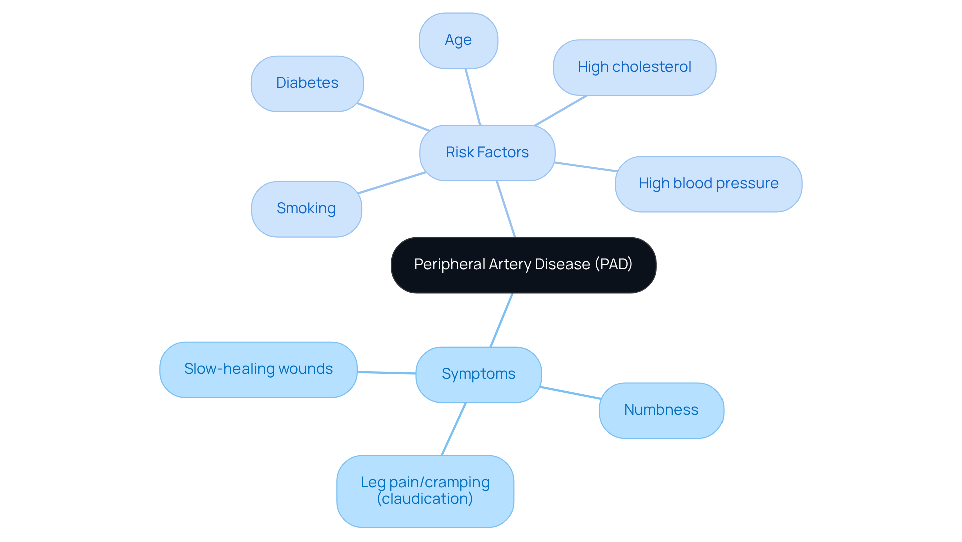 The central node represents Peripheral Artery Disease, with branches detailing its symptoms and risk factors. The symptoms branch shows signs to watch for, while the risk factors branch lists elements that increase the likelihood of developing PAD.
