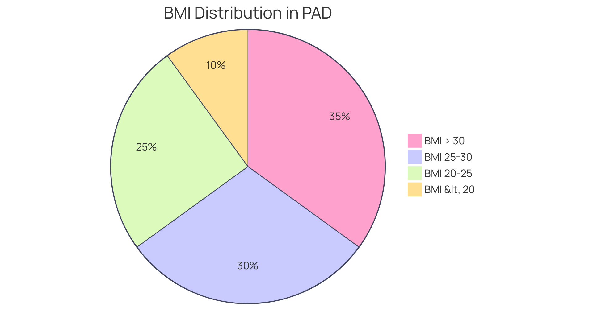 Each slice represents a BMI category and shows how many people fall into each range. The larger the slice, the more significant the risk associated with that category.