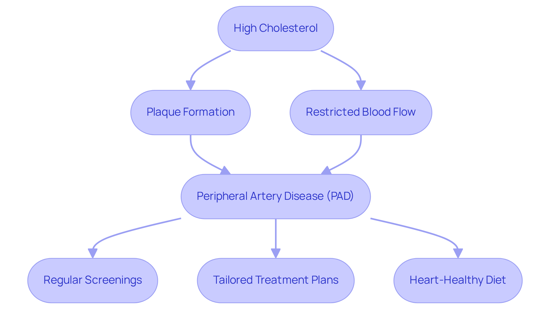 Follow the flow from high cholesterol to understand its effects on arteries and the necessary steps for managing your health. Each box represents a key point in the relationship between cholesterol and PAD.