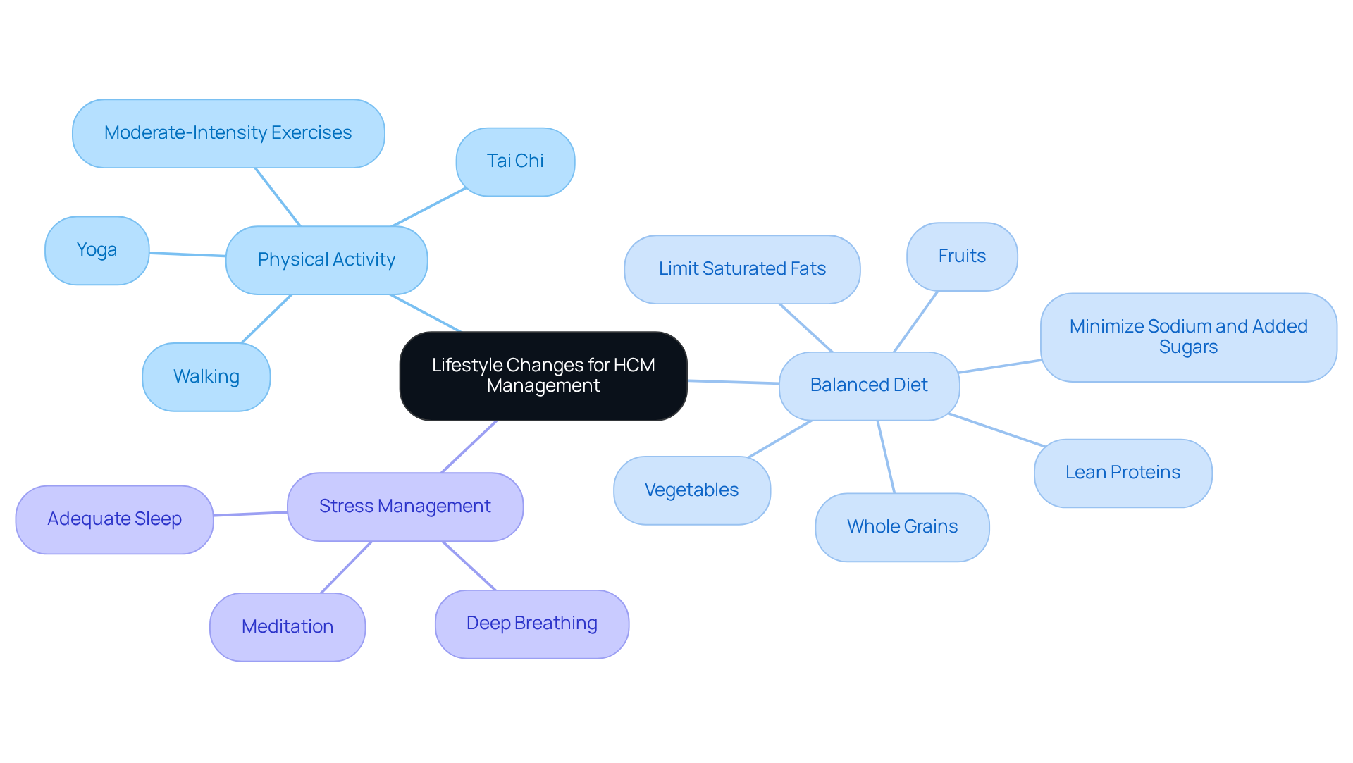 The central node represents the overall focus on lifestyle changes for heart health. Each branch shows a key area of focus, with sub-nodes detailing specific actions or practices that can help manage hypertrophic cardiomyopathy effectively.