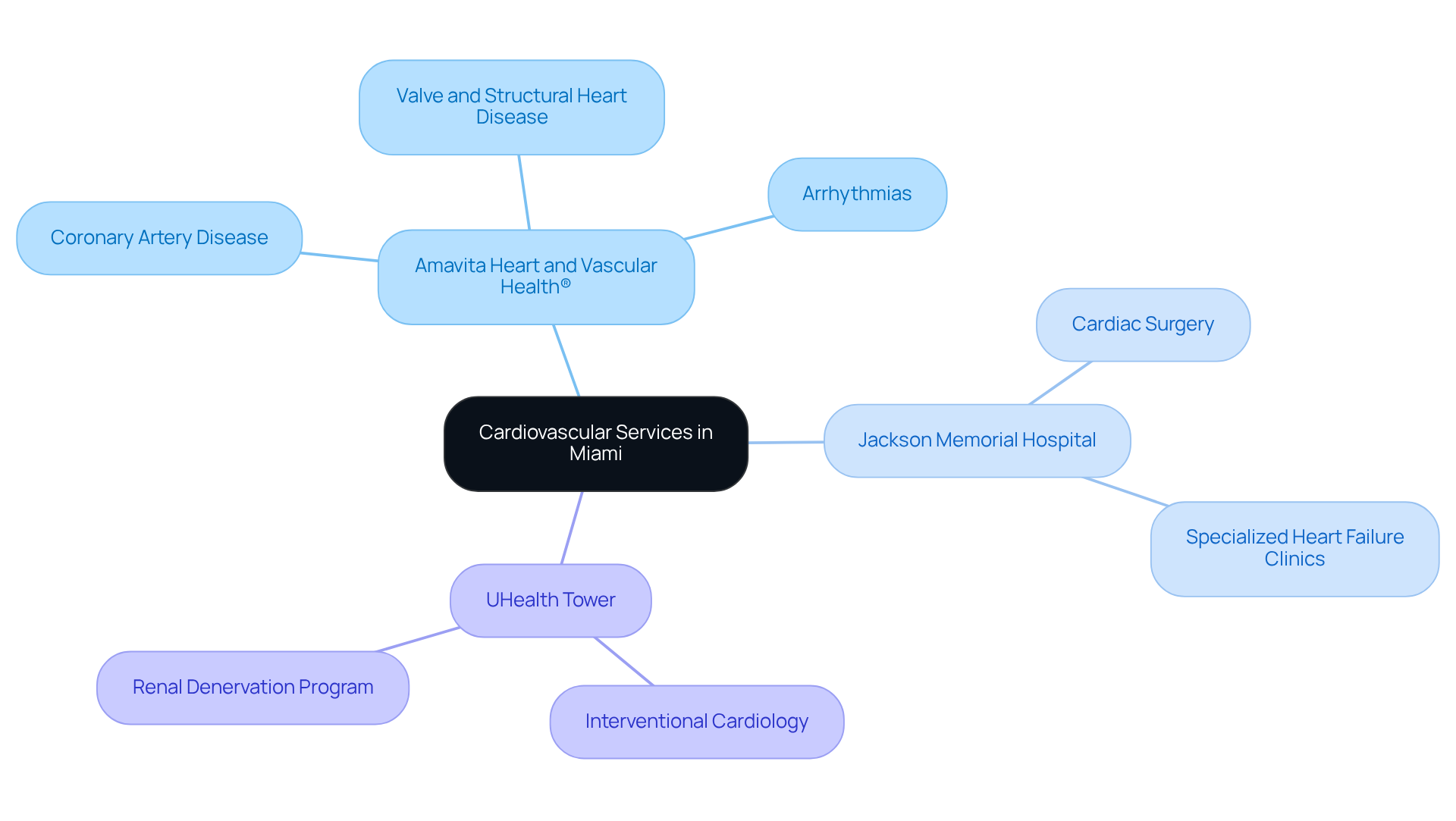 The central node represents the overall topic, while the branches show each facility and their specialized services. This layout helps you see which facility offers what type of heart care at a glance.