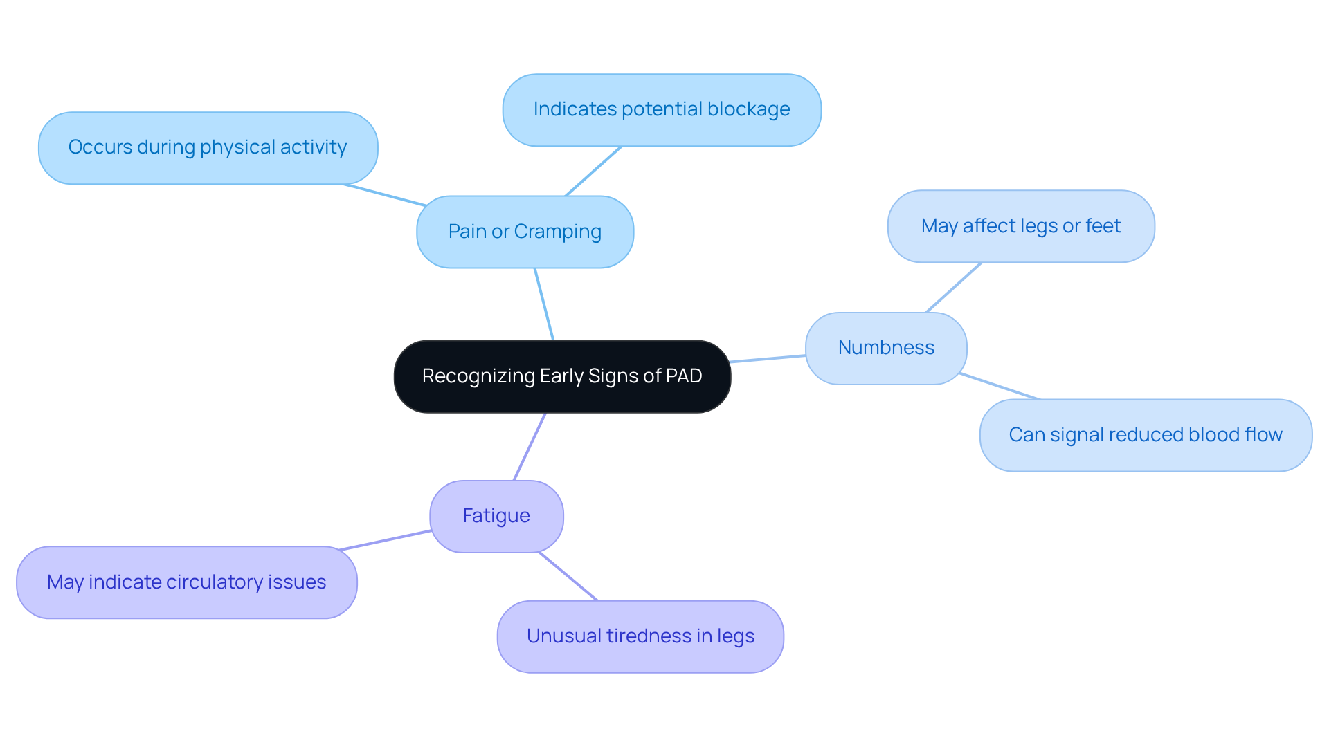 The center represents the main theme of recognizing PAD, while the branches show each key symptom. This structure helps you see at a glance what to look for and why it's important to seek medical attention.