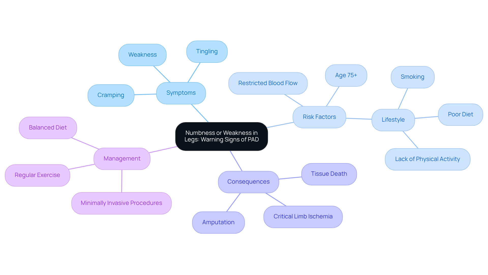 The center shows the main issue of leg numbness and weakness. Each branch represents different aspects of PAD, helping you see the full picture — from symptoms to the importance of early detection and management.