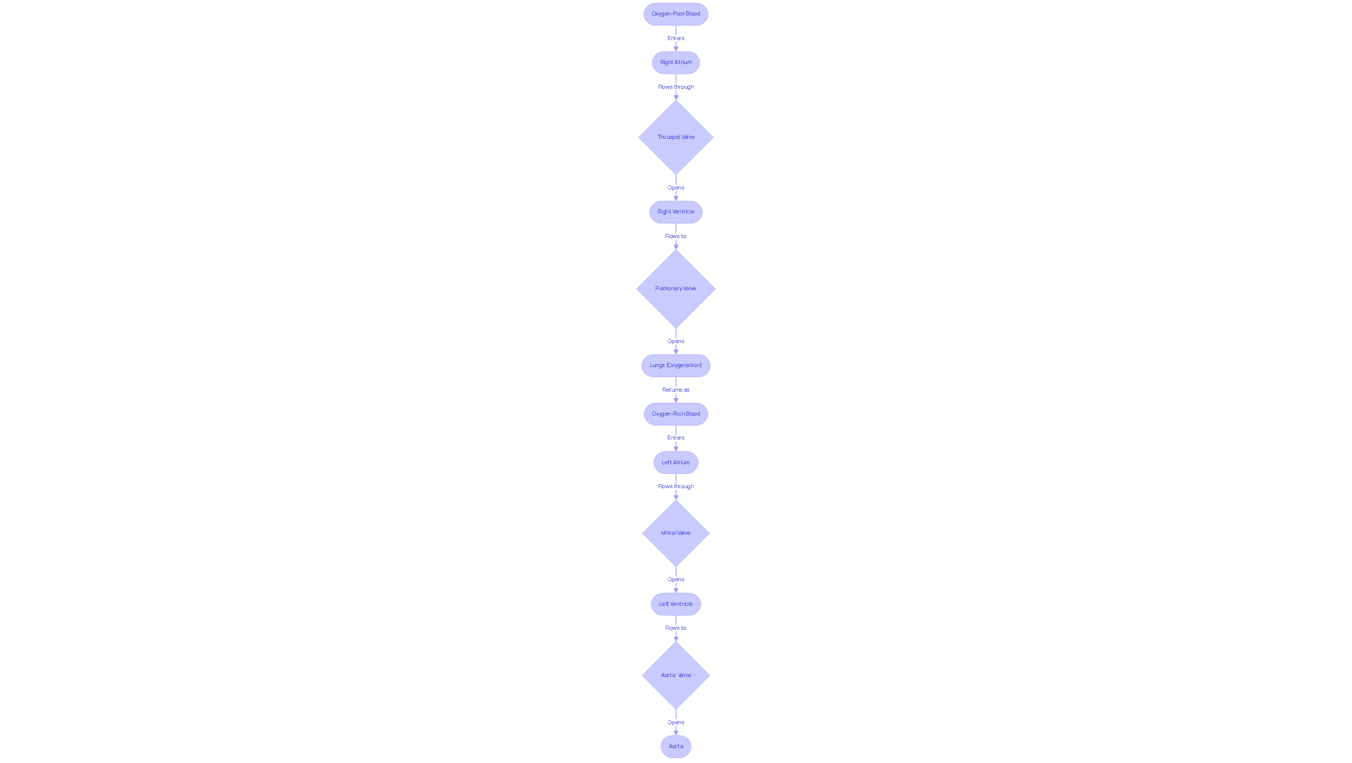 This flowchart illustrates how blood moves through the heart valves. Follow the arrows to see how oxygen-poor blood enters the heart, gets pumped to the lungs, and then returns as oxygen-rich blood to be distributed throughout the body. This flowchart illustrates how blood moves through the heart valves. Follow the arrows to see how oxygen-poor blood enters the heart, gets pumped to the lungs, and then returns as oxygen-rich blood to be distributed throughout the body.