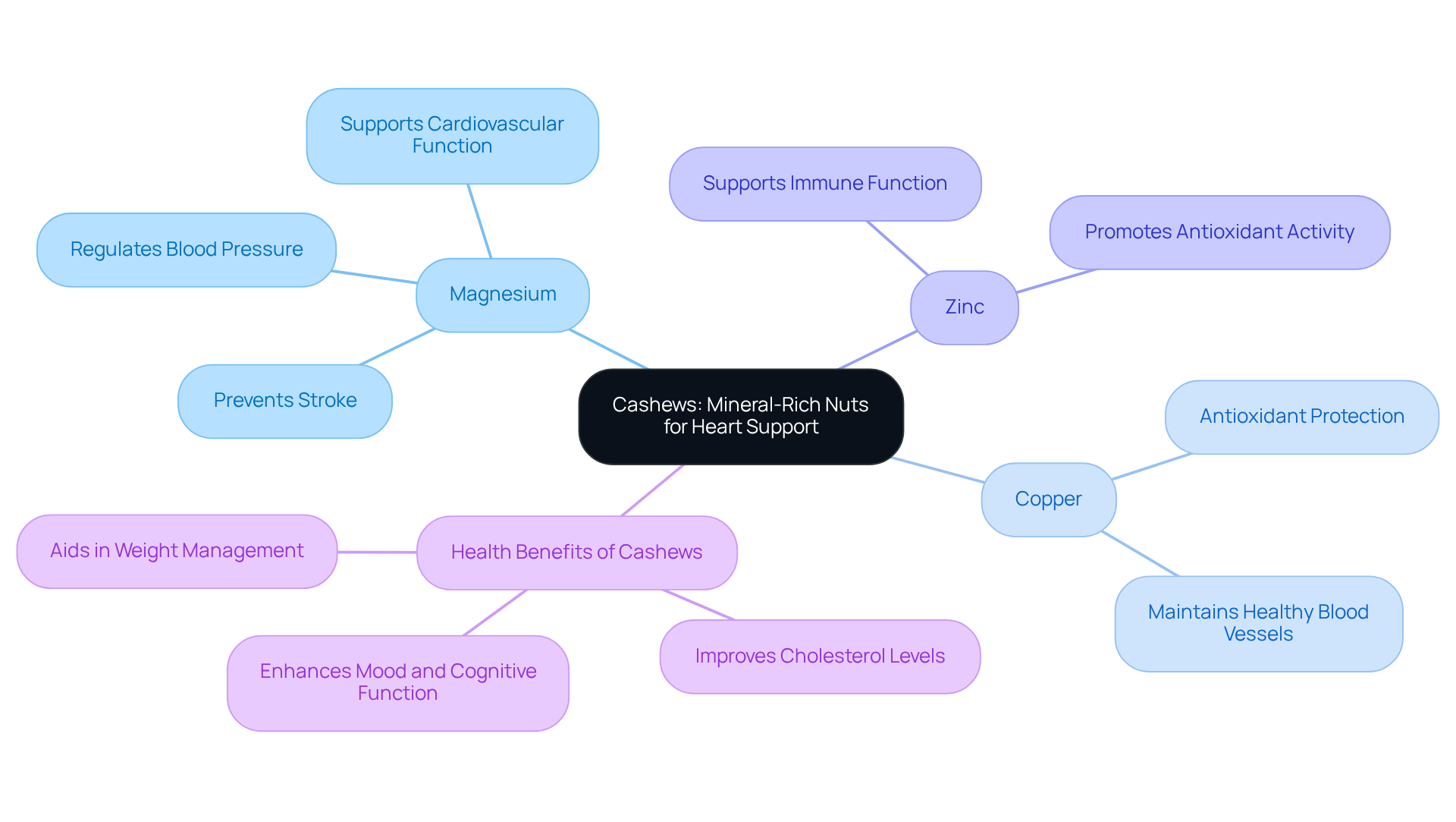 The center represents cashews and branches highlight their key minerals and associated health benefits. Follow the branches to understand how each mineral contributes to heart health. The center represents cashews and branches highlight their key minerals and associated health benefits. Follow the branches to understand how each mineral contributes to heart health.