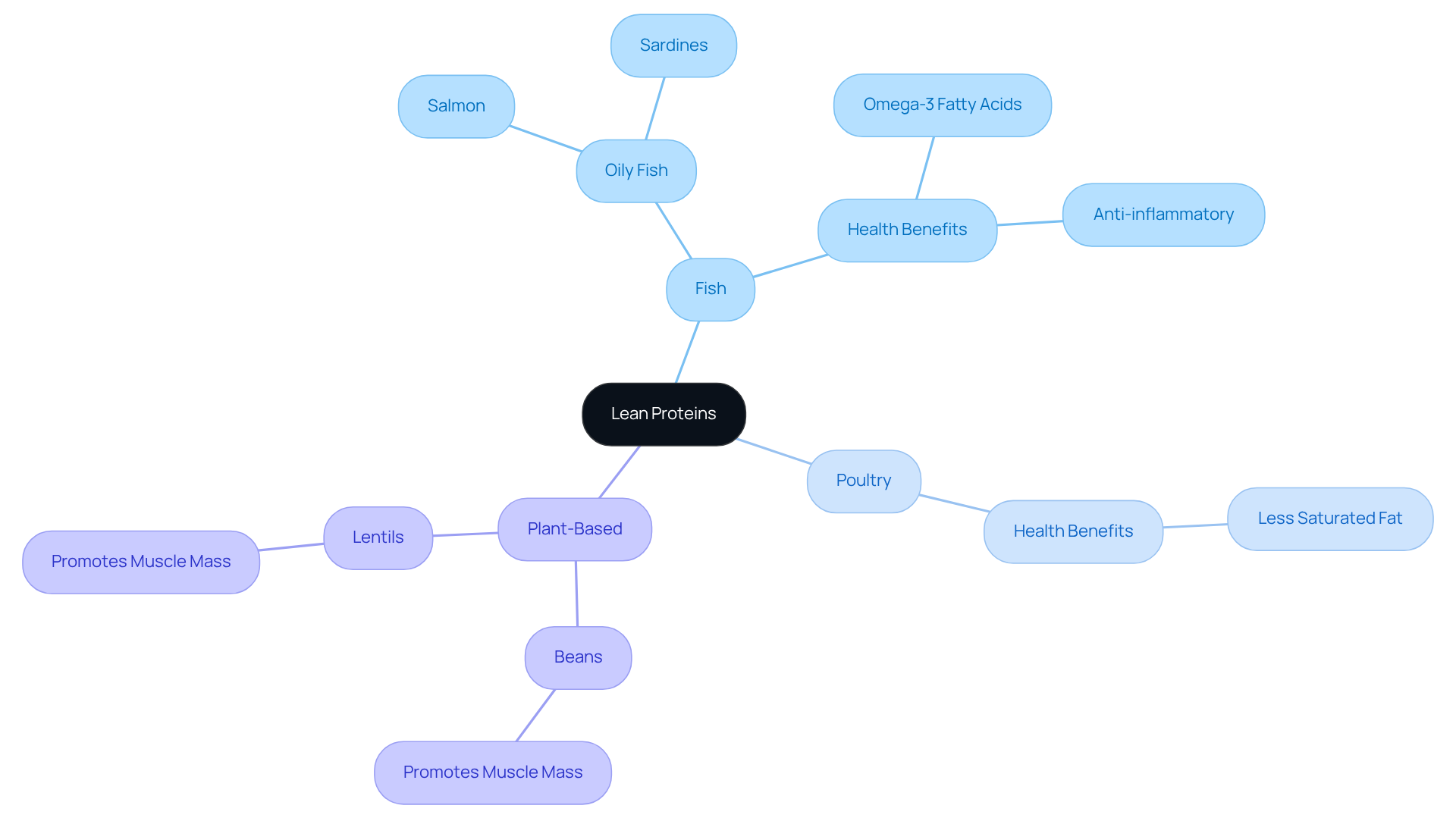 The central node is the main idea of lean proteins. Each branch shows a type of protein with further details about its health benefits, making it easy to understand how these foods contribute to better health. The central node is the main idea of lean proteins. Each branch shows a type of protein with further details about its health benefits, making it easy to understand how these foods contribute to better health.