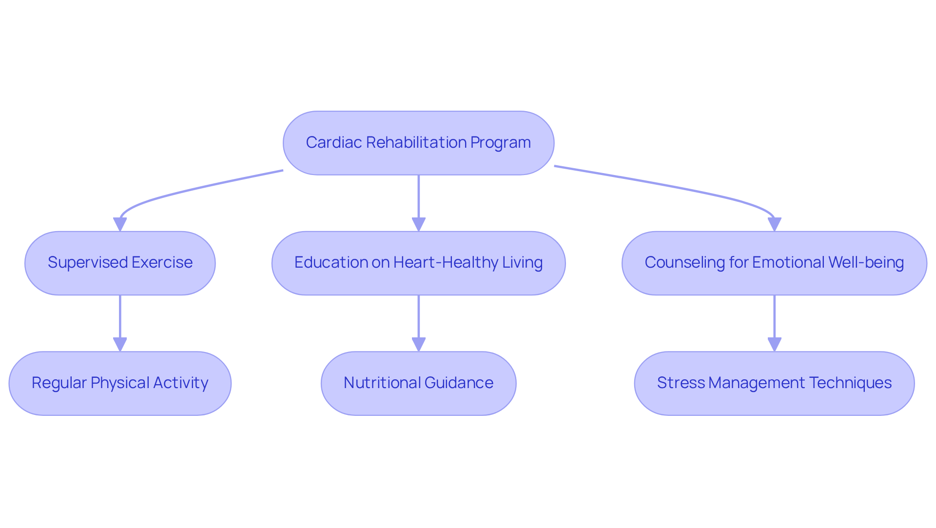 This flowchart outlines the essential parts of the cardiac rehabilitation program. Each branch represents a key area of focus, helping you see how they work together for a healthier recovery. This flowchart outlines the essential parts of the cardiac rehabilitation program. Each branch represents a key area of focus, helping you see how they work together for a healthier recovery.