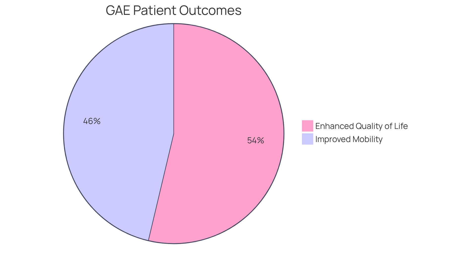 The blue segment shows the percentage of patients who improved their mobility, while the green segment represents those who reported a better quality of life. The larger the segment, the more patients experienced that outcome. The blue segment shows the percentage of patients who improved their mobility, while the green segment represents those who reported a better quality of life. The larger the segment, the more patients experienced that outcome.
