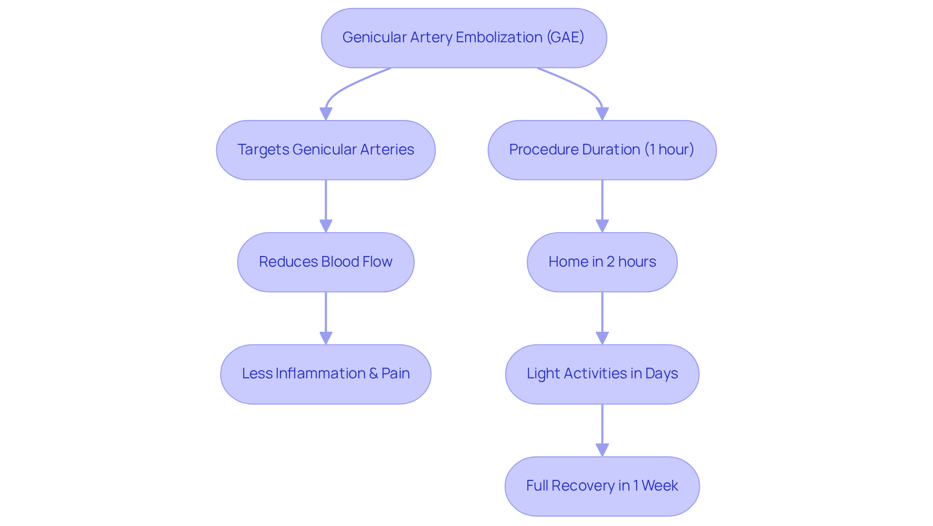 Follow the arrows to see how GAE works — from targeting the arteries to the expected recovery timeline. Each box represents a key step or outcome in the process. Follow the arrows to see how GAE works — from targeting the arteries to the expected recovery timeline. Each box represents a key step or outcome in the process.