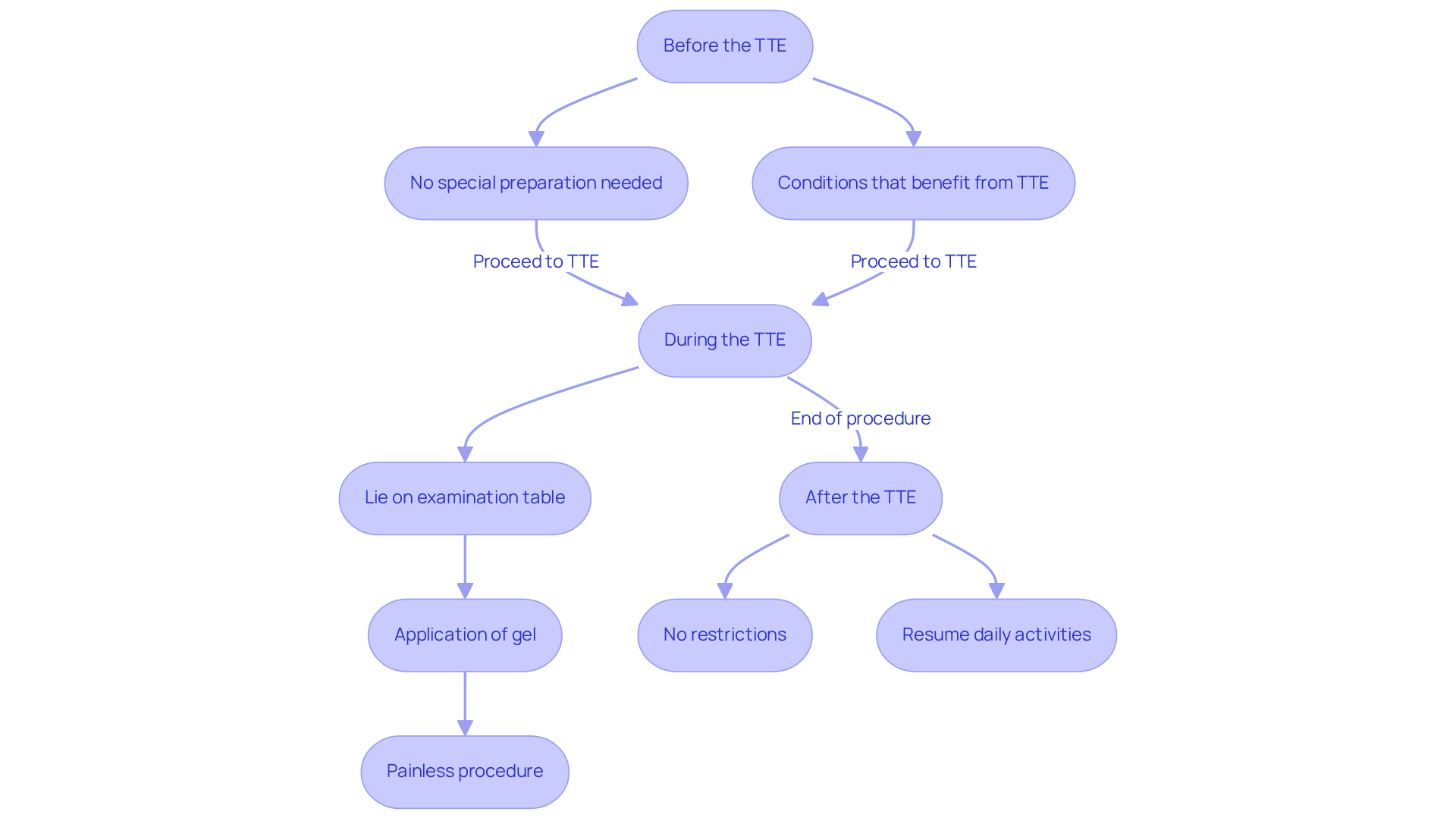 Each box represents a stage in the TTE process. Follow the arrows to understand what to expect before, during, and after the test. Each box represents a stage in the TTE process. Follow the arrows to understand what to expect before, during, and after the test.