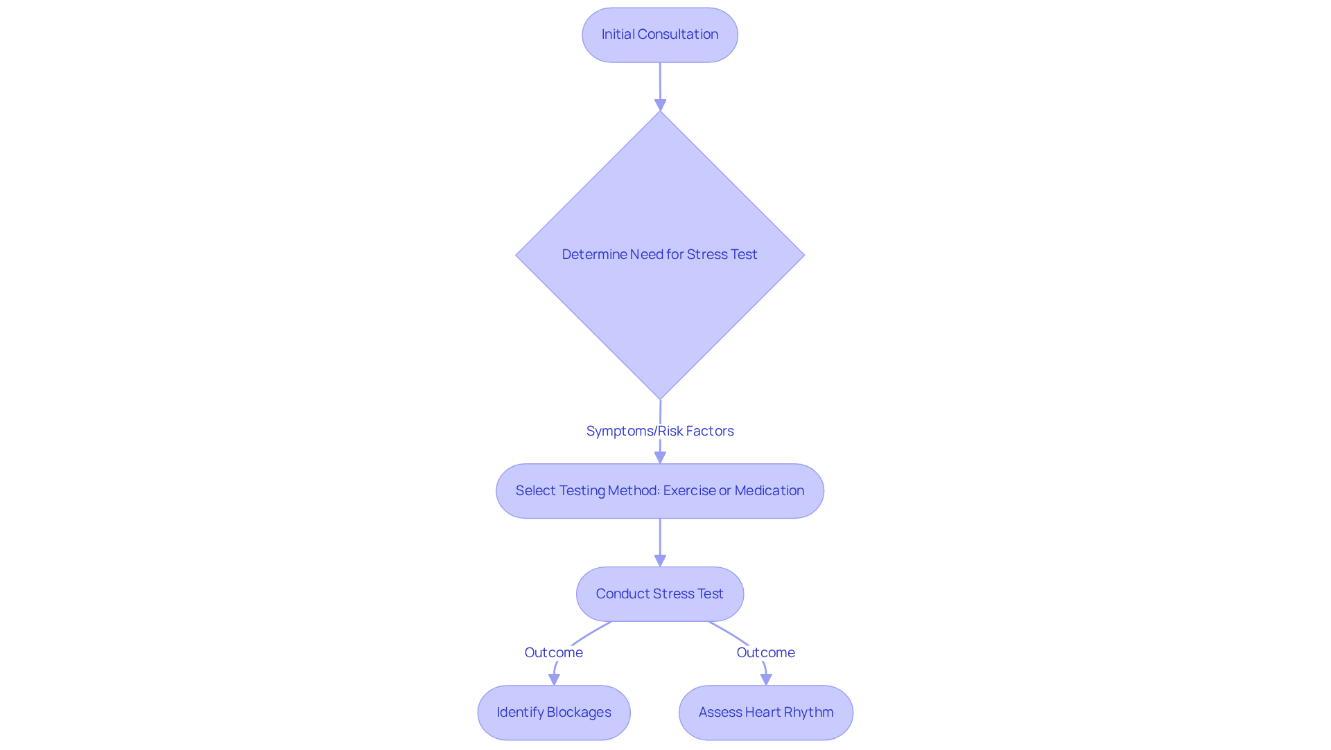 Each box represents a step in the stress testing process, showing how a patient goes from consultation to testing and the potential outcomes of the evaluation. Each box represents a step in the stress testing process, showing how a patient goes from consultation to testing and the potential outcomes of the evaluation.