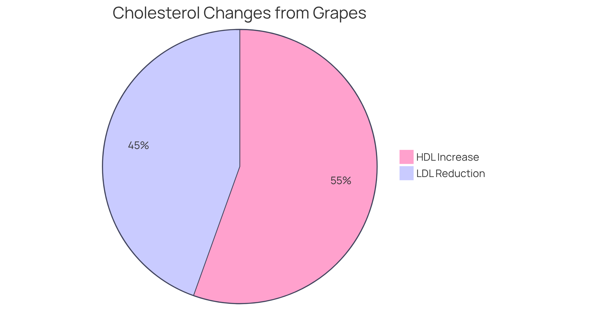 The dark purple slice shows how much LDL cholesterol can be reduced by consuming grapes, while the lighter slice represents the increase in HDL cholesterol. Together, they illustrate the heart health benefits of grapes. The dark purple slice shows how much LDL cholesterol can be reduced by consuming grapes, while the lighter slice represents the increase in HDL cholesterol. Together, they illustrate the heart health benefits of grapes.