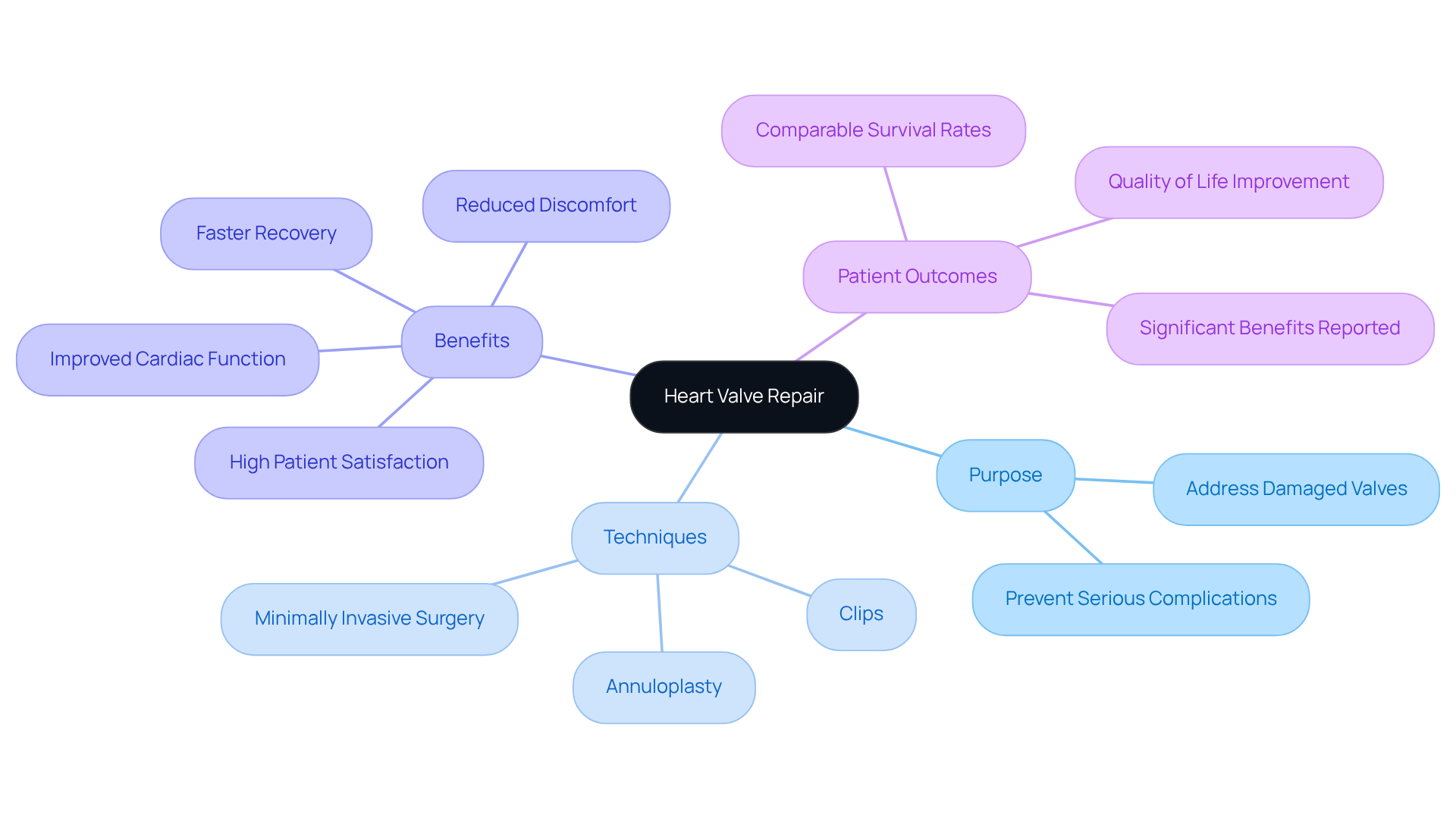 The center of the mindmap is the main topic: heart valve repair. As you move outward, you'll find related categories and specific details, helping you understand how the procedure works and its importance for patients. The center of the mindmap is the main topic: heart valve repair. As you move outward, you'll find related categories and specific details, helping you understand how the procedure works and its importance for patients.