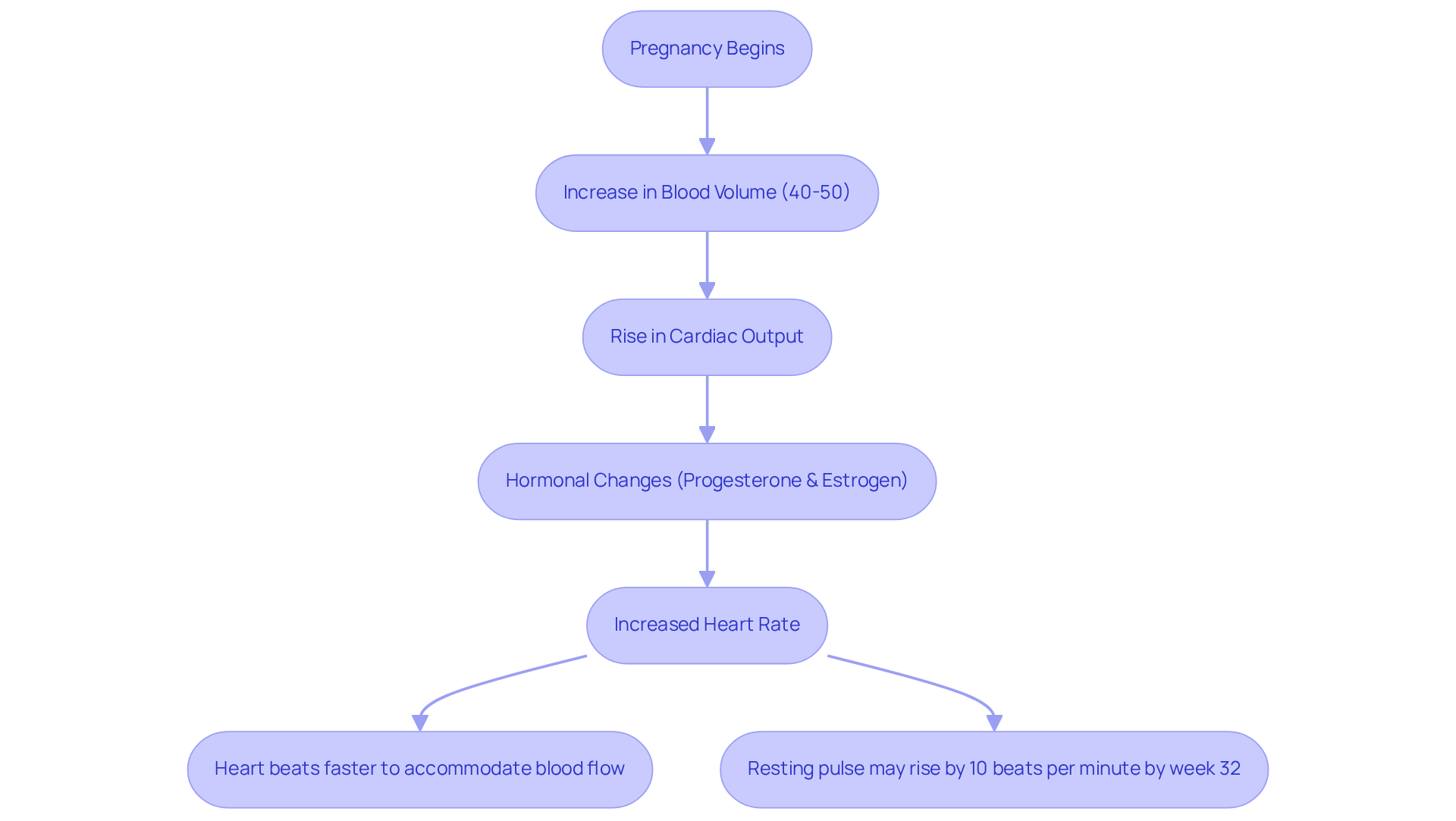 Follow the arrows to see how each physiological change leads to the next, illustrating how your heart adapts during pregnancy. Follow the arrows to see how each physiological change leads to the next, illustrating how your heart adapts during pregnancy.