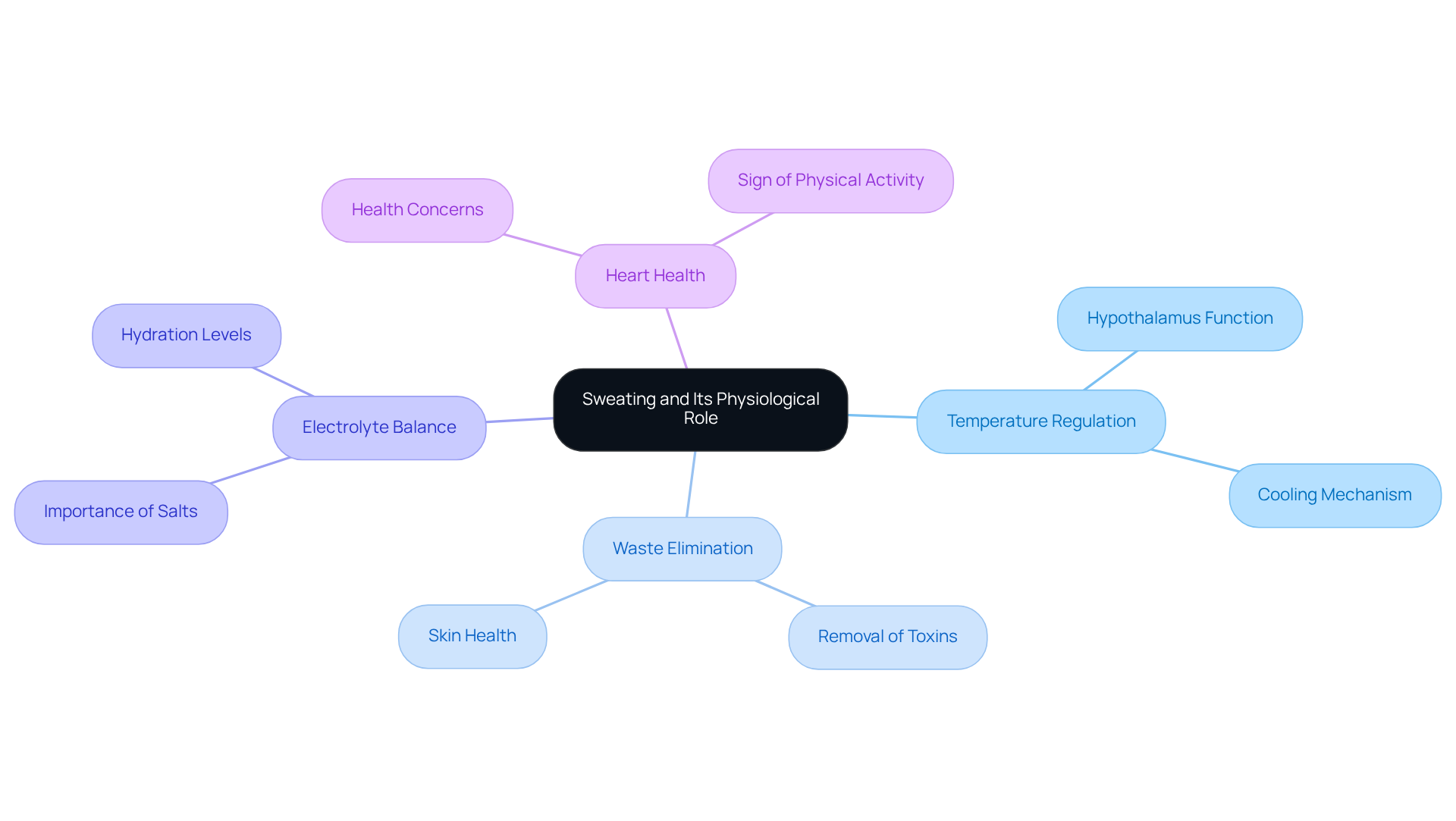 The central node represents sweating, while the branches show its various roles in the body. Each color-coded branch highlights a different aspect, helping you see how they all connect to your overall health. The central node represents sweating, while the branches show its various roles in the body. Each color-coded branch highlights a different aspect, helping you see how they all connect to your overall health.
