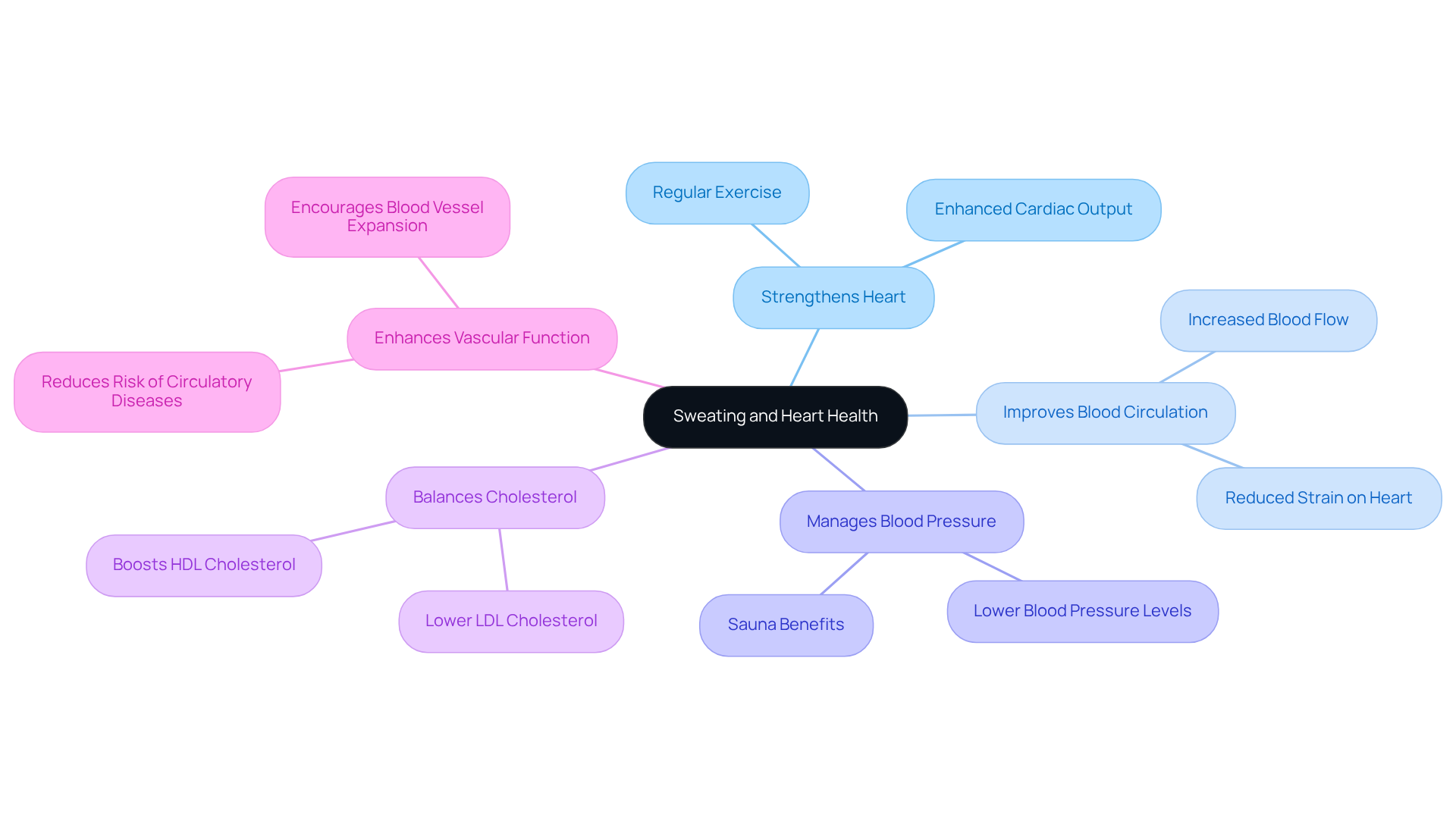 The central idea is sweating's impact on heart health, with branches showing specific benefits. Each branch highlights how sweating contributes to a healthier heart, making it easy to understand the connections. The central idea is sweating's impact on heart health, with branches showing specific benefits. Each branch highlights how sweating contributes to a healthier heart, making it easy to understand the connections.