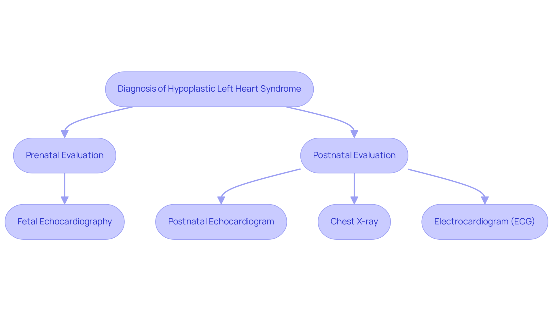 This flowchart outlines the steps taken to diagnose Hypoplastic Left Heart Syndrome, starting from prenatal evaluations to various postnatal tests. Each box represents a key step in the process, and the arrows show the order in which these evaluations occur. This flowchart outlines the steps taken to diagnose Hypoplastic Left Heart Syndrome, starting from prenatal evaluations to various postnatal tests. Each box represents a key step in the process, and the arrows show the order in which these evaluations occur.