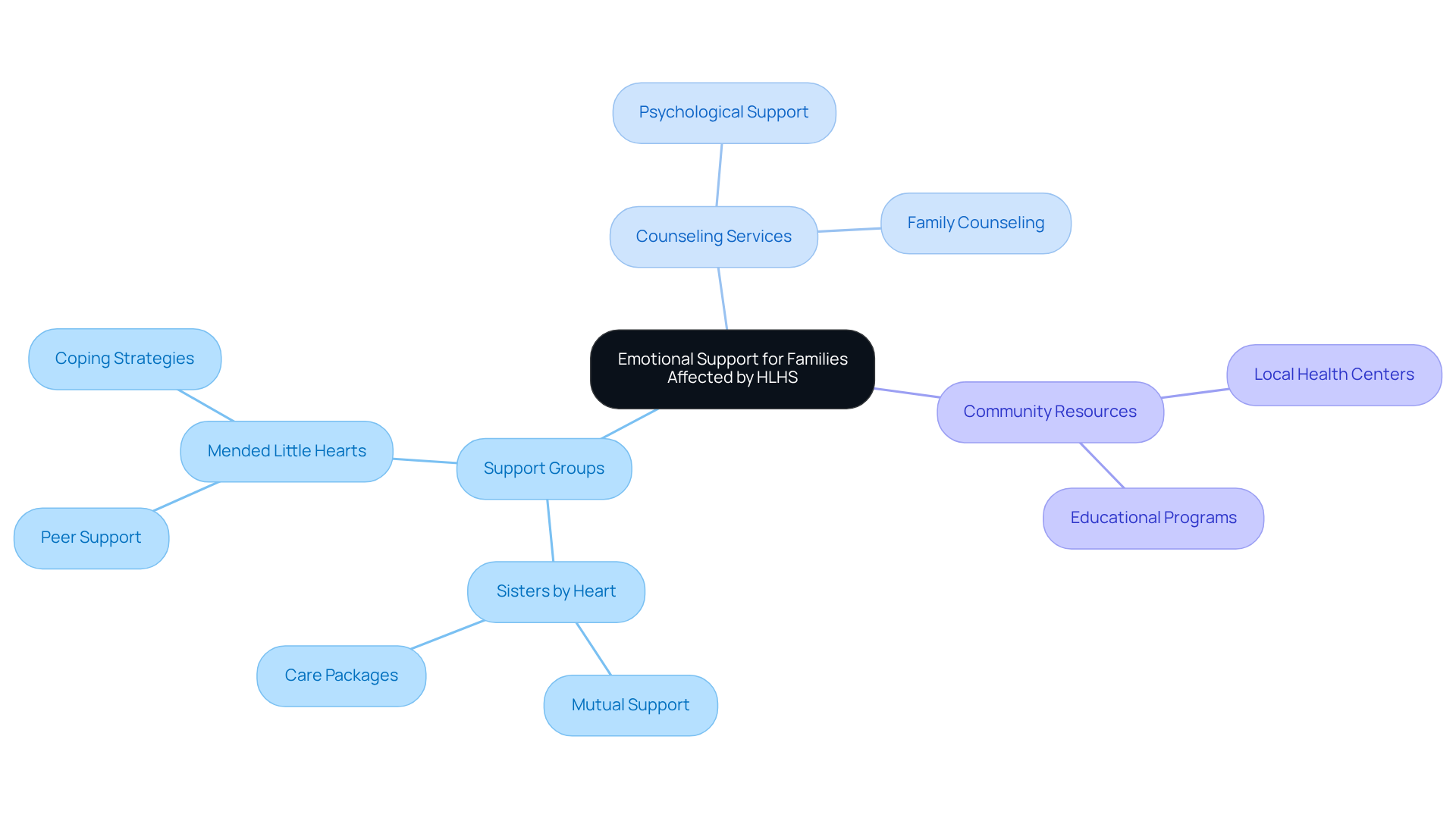 The central node represents the main theme of emotional support, while the branches show different types of resources available. Each sub-branch highlights specific organizations and their contributions, helping families understand where to find support. The central node represents the main theme of emotional support, while the branches show different types of resources available. Each sub-branch highlights specific organizations and their contributions, helping families understand where to find support.